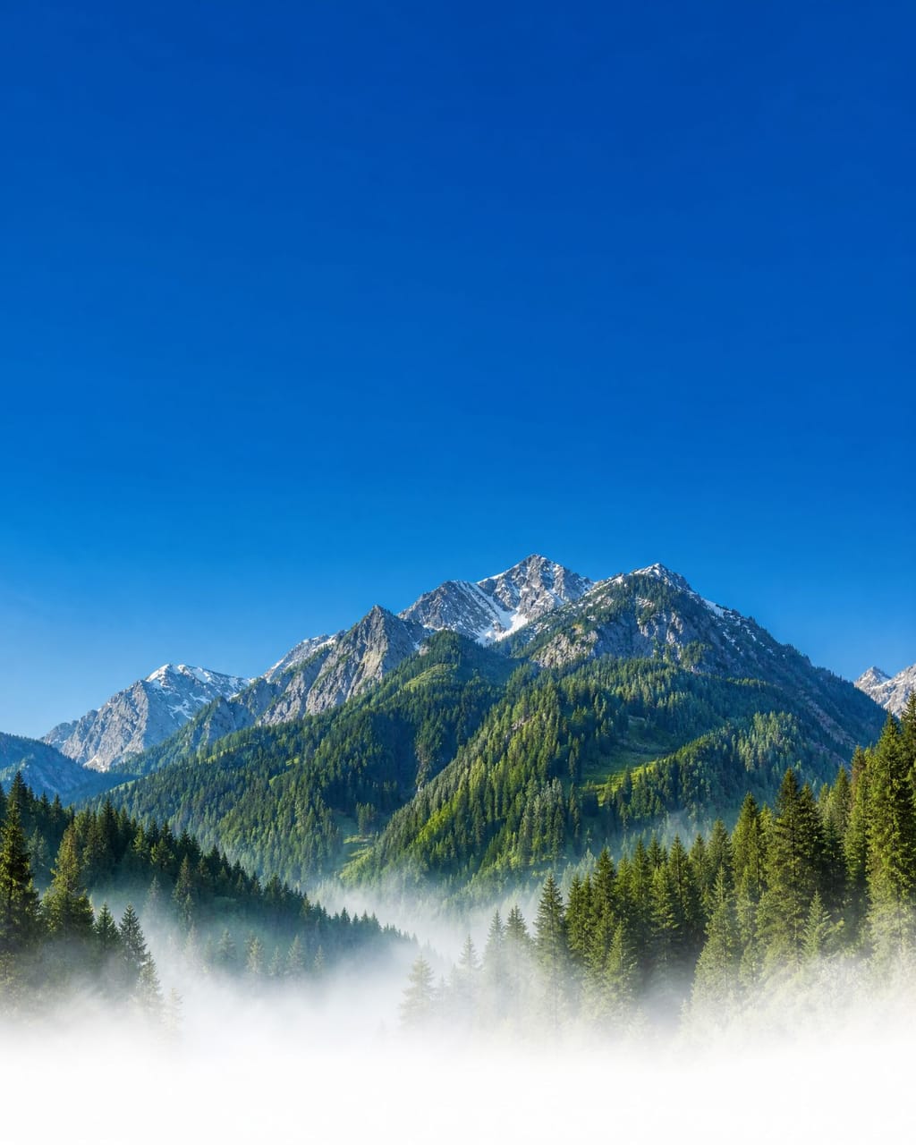 Alpi europee