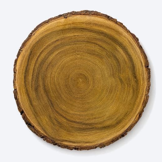 Acacia